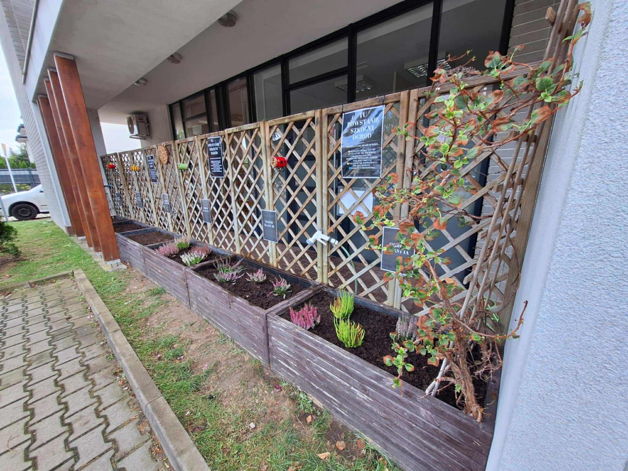 Primary school in Nowa Iwiczna  The youngest students have become little gardeners