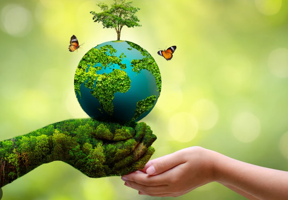 World Environment Day,