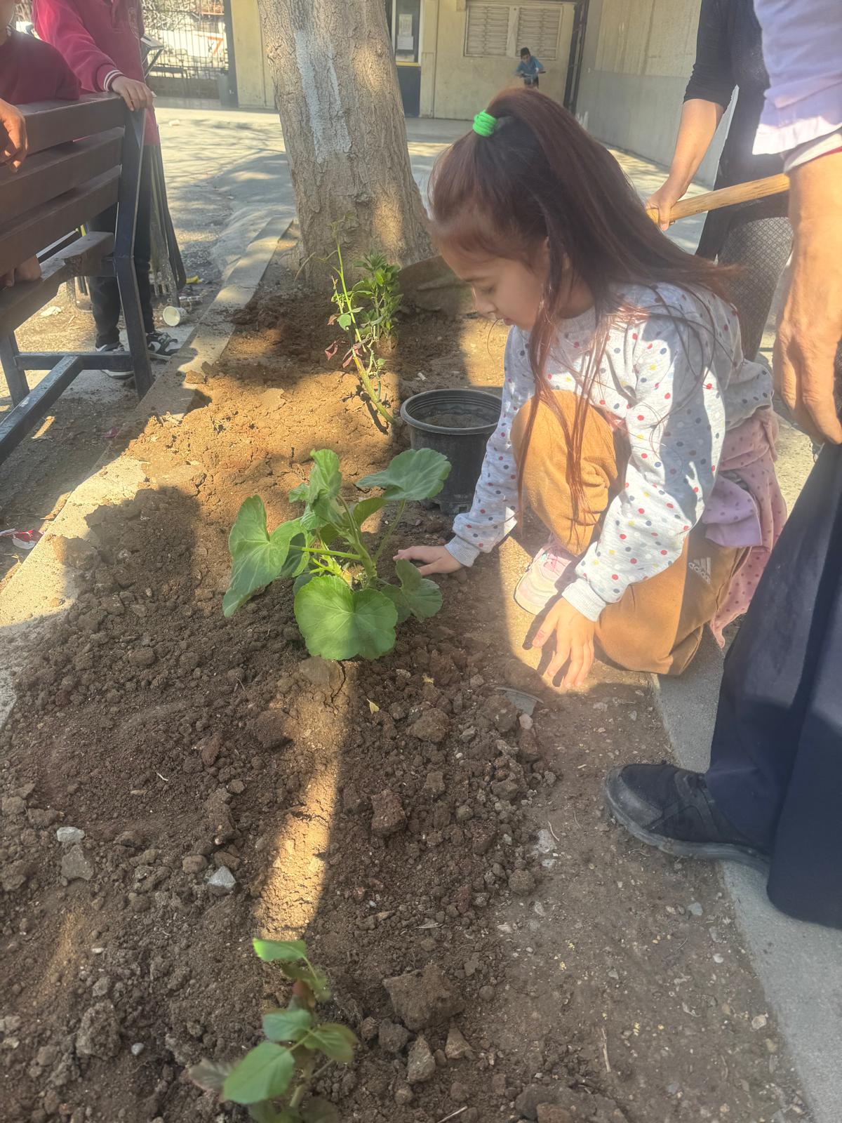 School garden beautification event